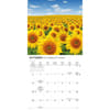 image Sunflowers Special Value 2026 Mini Wall Calendar Fourth Alternate Image