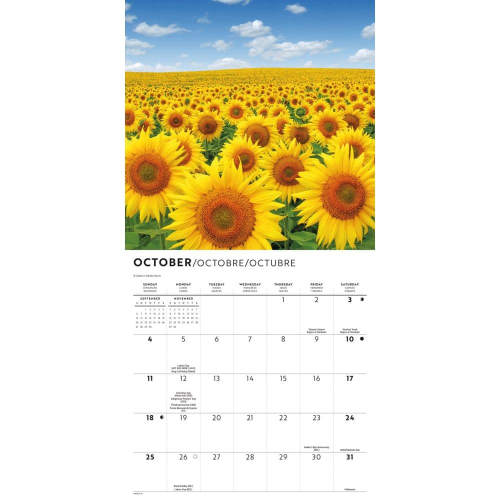 Sunflowers Special Value 2026 Mini Wall Calendar Fourth Alternate Image