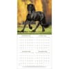 image Horses Photo 2026 Wall Calendar_ALT2