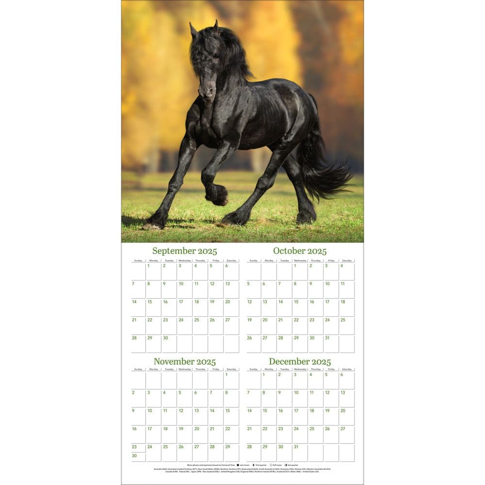 Horses Photo 2026 Wall Calendar_ALT2