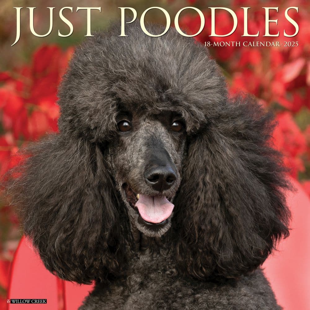 Just Poodles 2025 Wall Calendar