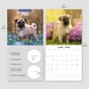 image Pugs 2026 Wall Calendar Fourth Alternate Image