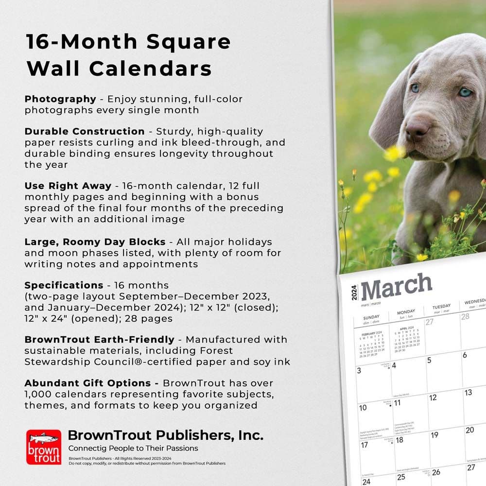 Weimaraners 2024 Wall Calendar Fourth Alternate Image width=&quot;1000&quot; height=&quot;1000&quot;