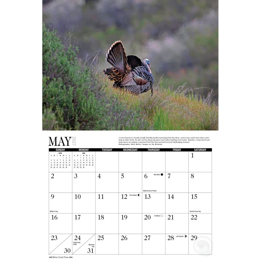 Turkey 2027 Wall Calendar Second Alternate Image