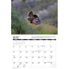image Turkey 2027 Wall Calendar Second Alternate Image
