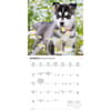 image Siberian Husky Puppies 2026 Mini Wall Calendar Third Alternate Image