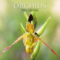 image Orchids 2026 Wall Calendar  Main Image
