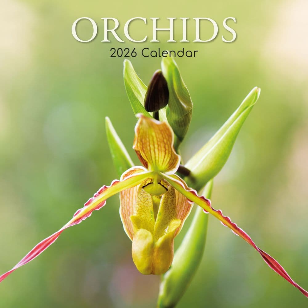 Orchids 2026 Wall Calendar  Main Image