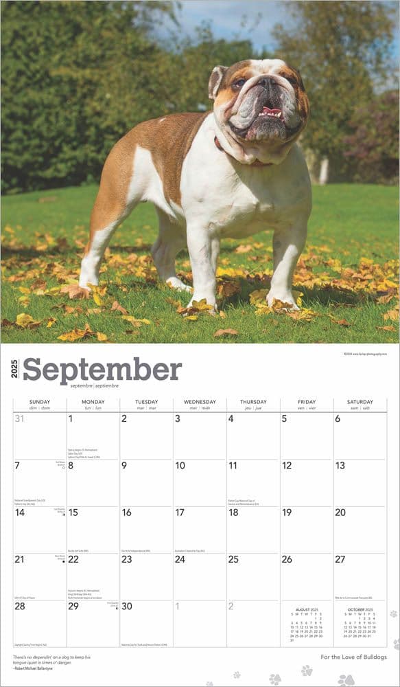 Bulldogs Deluxe 2025 Wall Calendar September