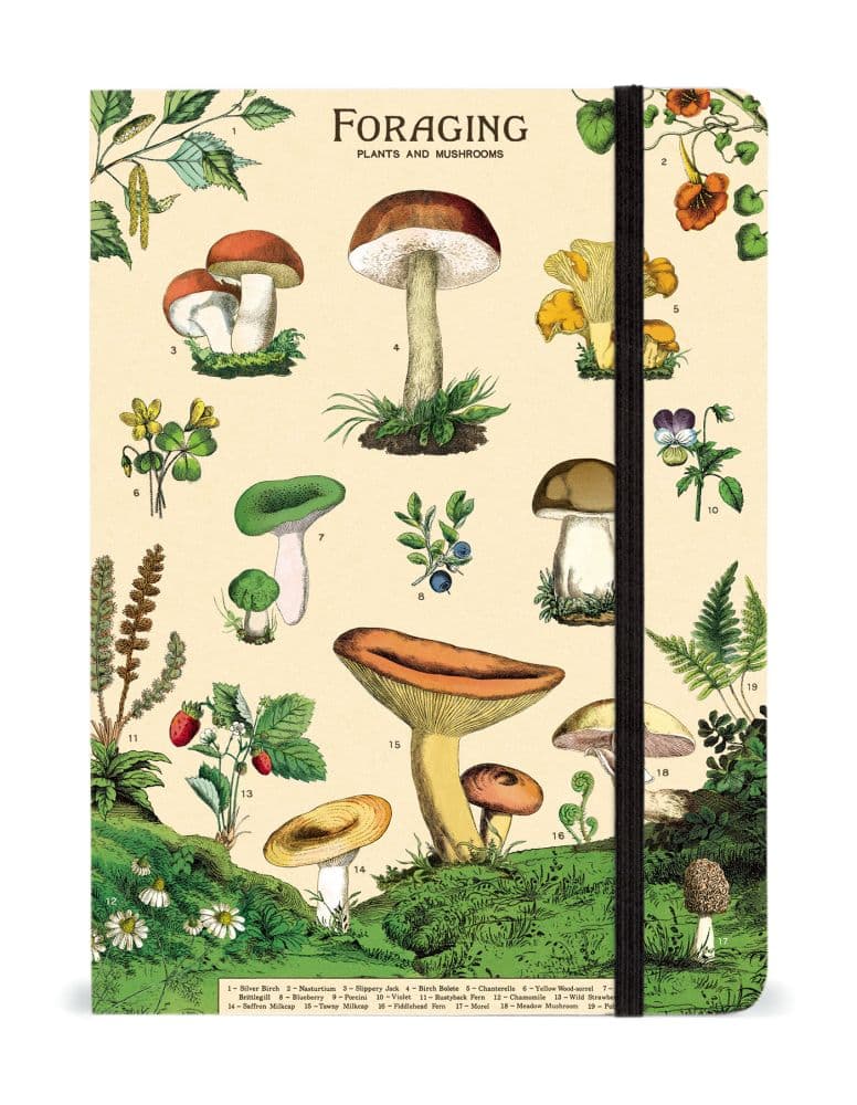 Cavallini Papers & Co. Mushroom Foraging Large Notebook
