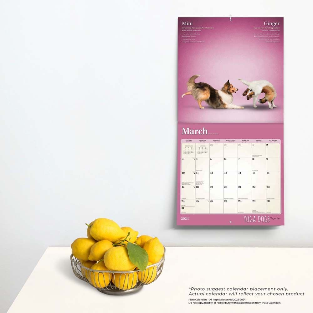 Yoga Dogs Together 2024 Wall Calendar Third Alternate Image width=&quot;1000&quot; height=&quot;1000&quot;