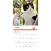 image Cat Lovers 2026 Wall Calendar Second Alternate Image