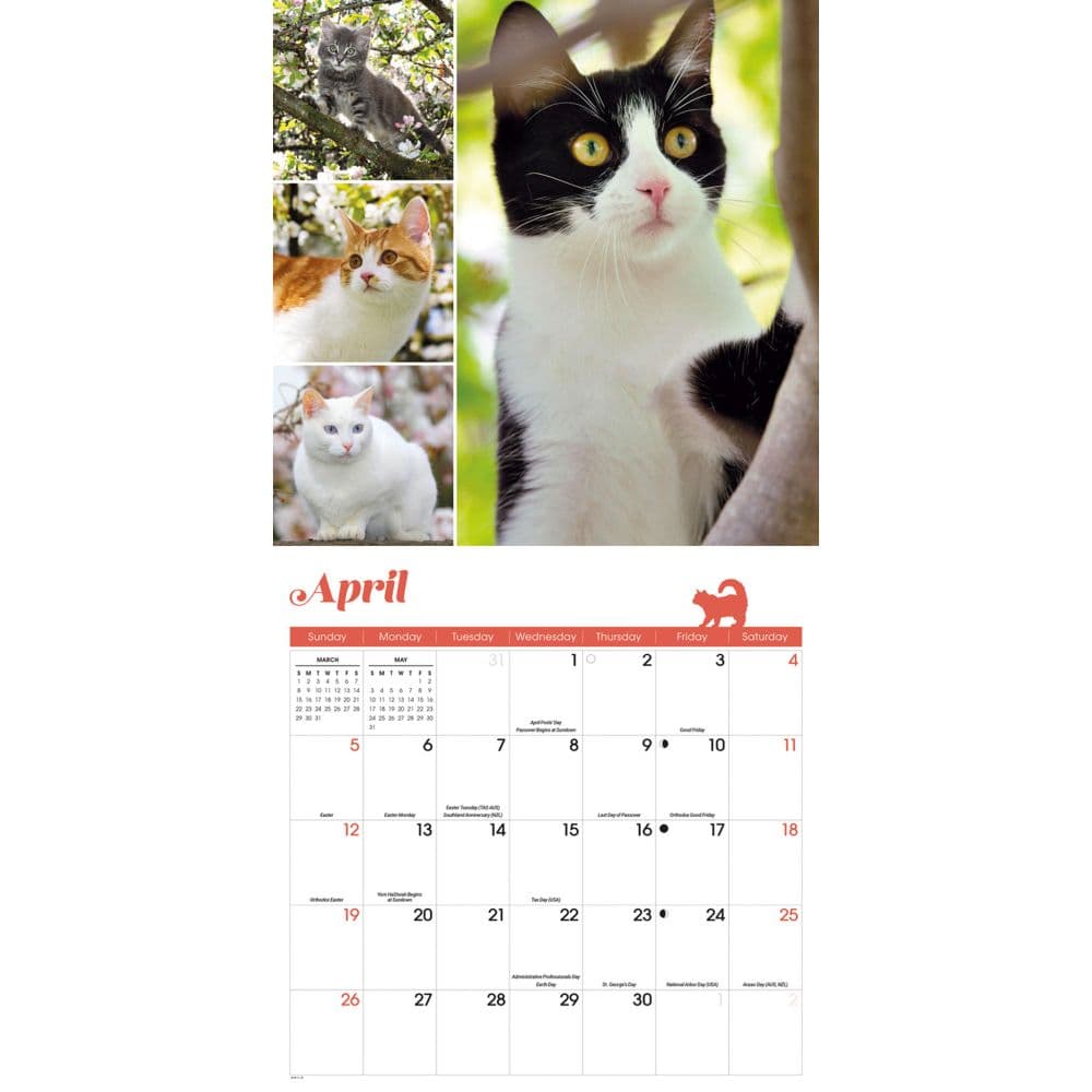 Cat Lovers 2026 Wall Calendar Second Alternate Image
