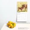 image Highland Cows 2025 Wall Calendar Fourth Alternate Image