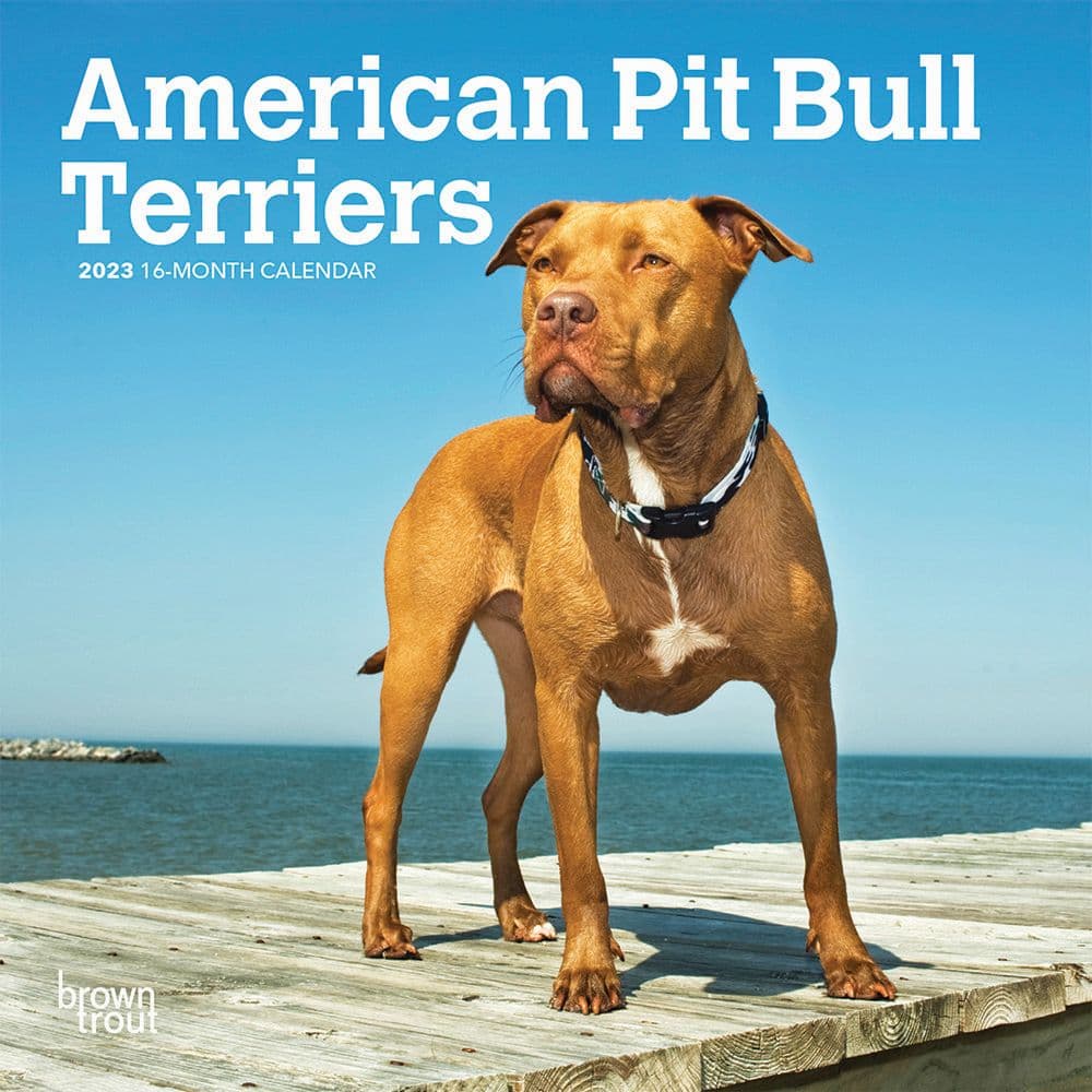 American Pit Bull 2023 Mini Wall - Calendars.com