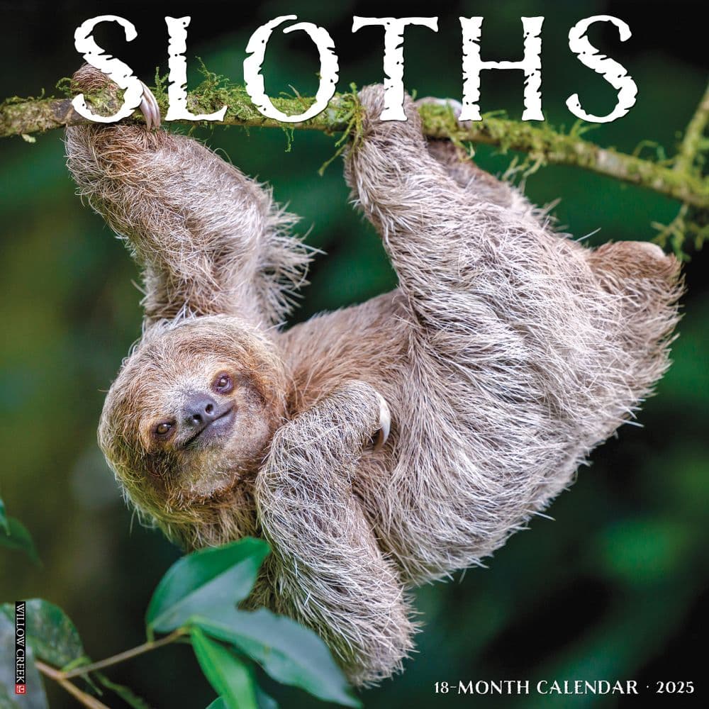 Sloths 2025 Wall Calendar