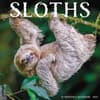 image Sloths 2025 Wall Calendar  Main Image