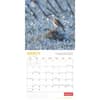 image Canadian Geographic Wild Weather 2025 Wall Calendar interior image