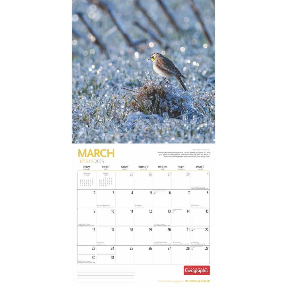 Canadian Geographic Wild Weather 2025 Wall Calendar interior image