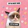 image Grumpy Cat 2027 Wall Calendar Fourth Alternate Image