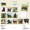 image Newfoundlands 2025 Wall Calendar First Alternate Image width=&quot;1000&quot; height=&quot;1000&quot;