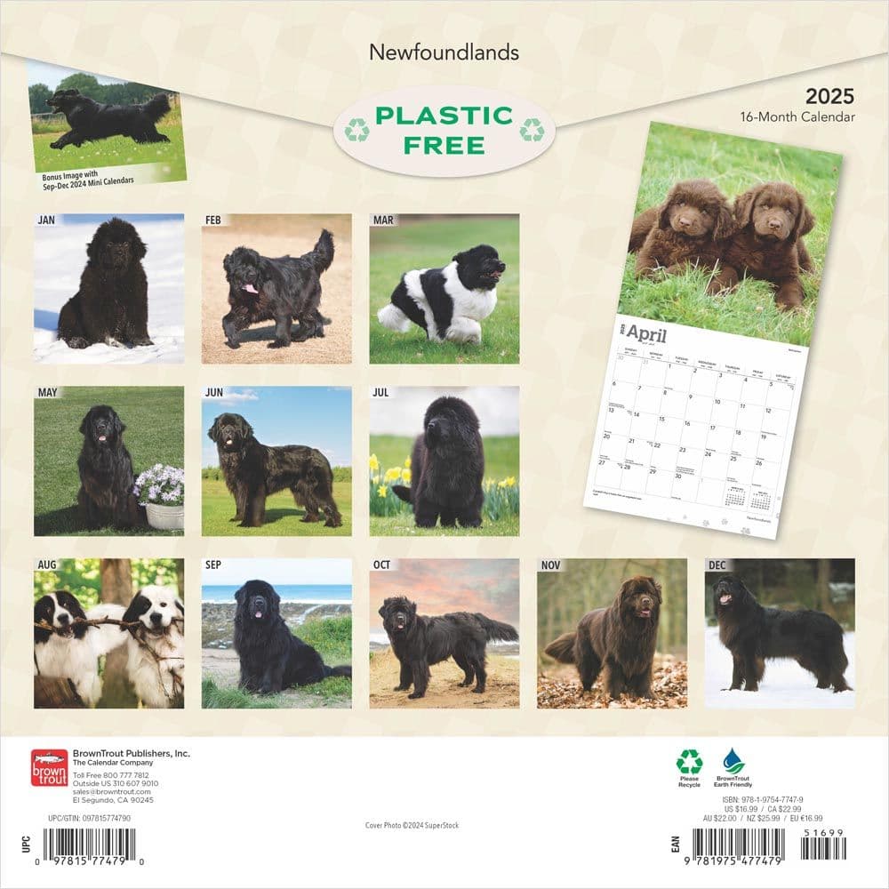 Newfoundlands 2025 Wall Calendar First Alternate Image width=&quot;1000&quot; height=&quot;1000&quot;