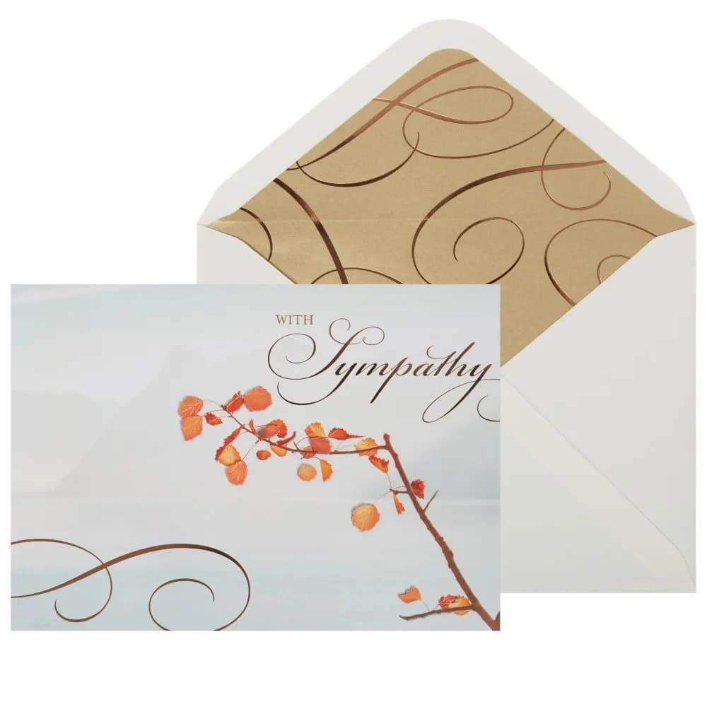 Photo Scene with Vellum Branch Sympathy Card Main Product Image width=&quot;1000&quot; height=&quot;1000&quot;