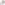 image Photo Scene with Vellum Branch Sympathy Card Main Product Image width=&quot;1000&quot; height=&quot;1000&quot;