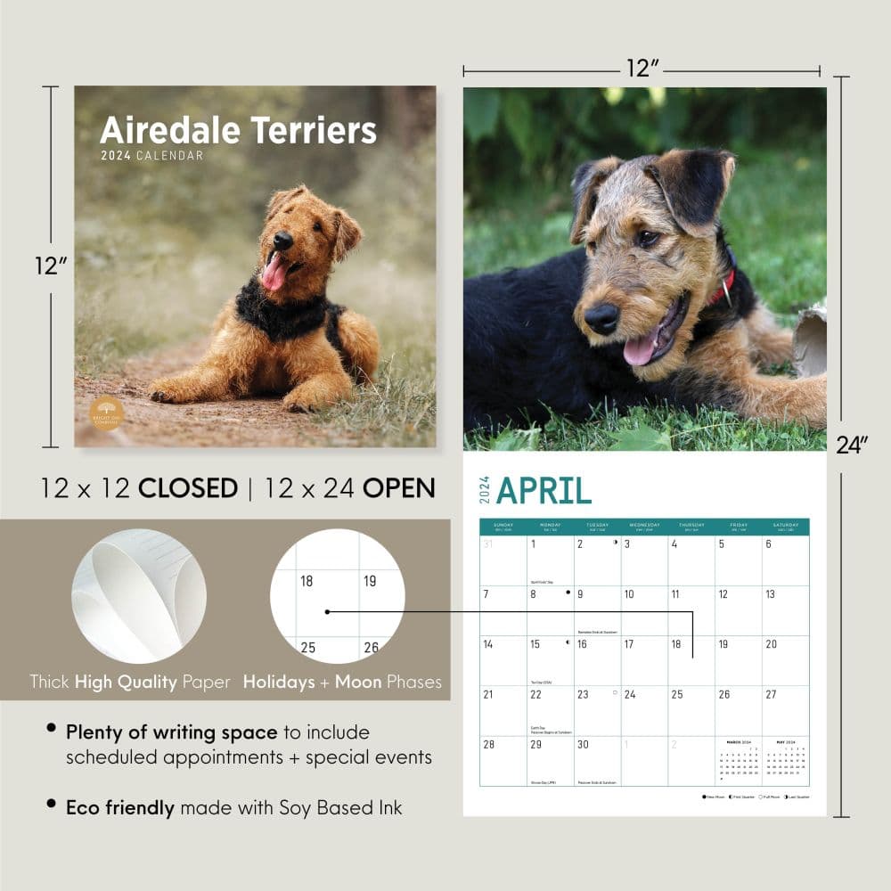 Airedale Terriers 2024 Wall Calendar Eighth Alternate Image width=&quot;1000&quot; height=&quot;1000&quot;