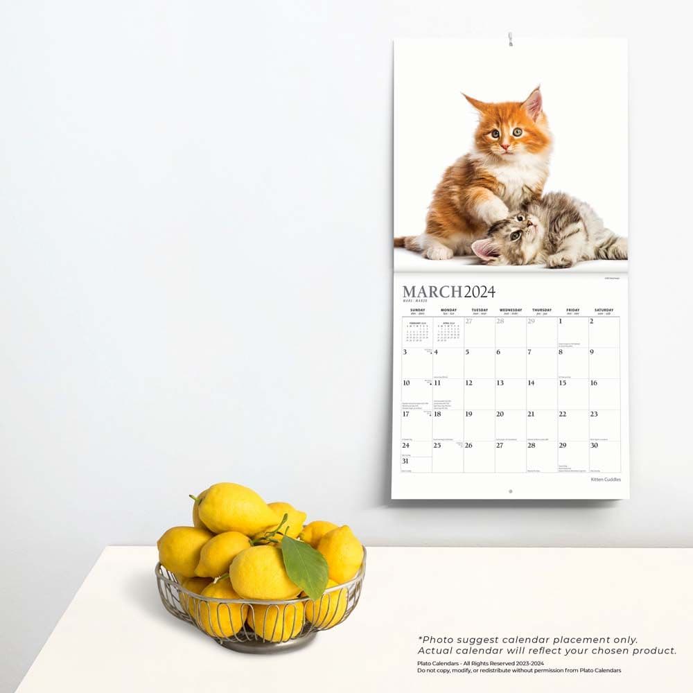 Kitten Cuddles 2024 Wall Calendar Third Alternate Image width=&quot;1000&quot; height=&quot;1000&quot;