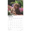 image Labradoodles 2025 Wall Calendar Second Alternate Image width=&quot;1000&quot; height=&quot;1000&quot;