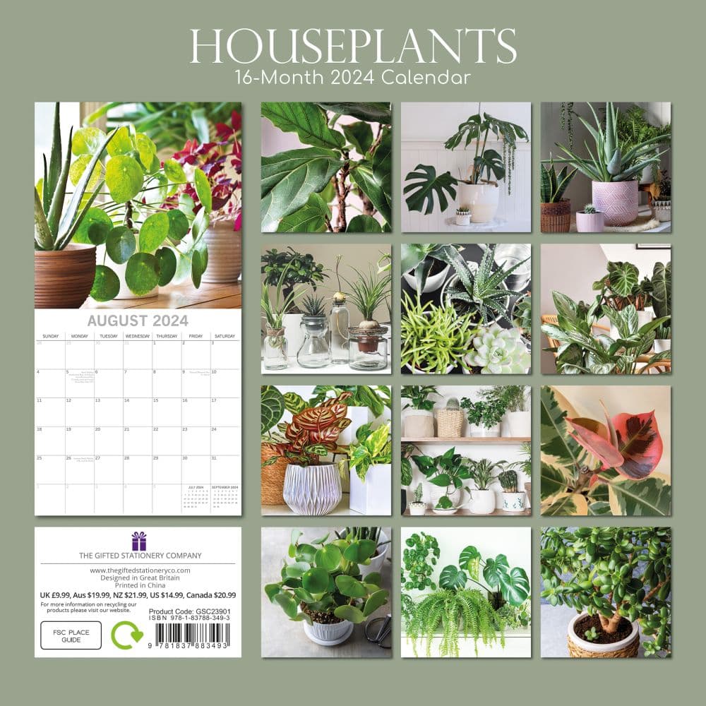 House Plants 2024 Wall Calendar