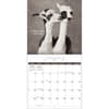 image Rachael Hale Loveable Animals 2026 Wall Calendar Third Alternate Image