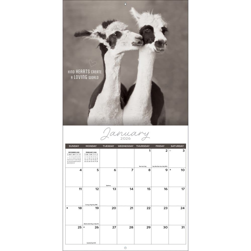 Rachael Hale Loveable Animals 2026 Wall Calendar Third Alternate Image