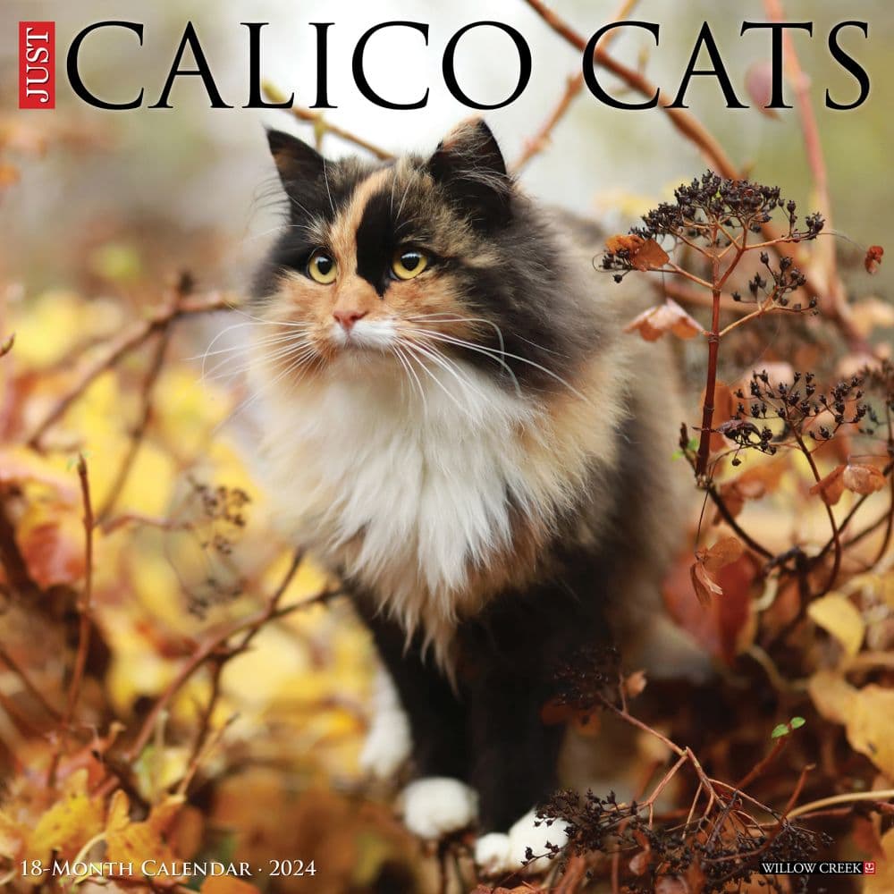 Calico Cats 2024 Wall Calendar Main Image