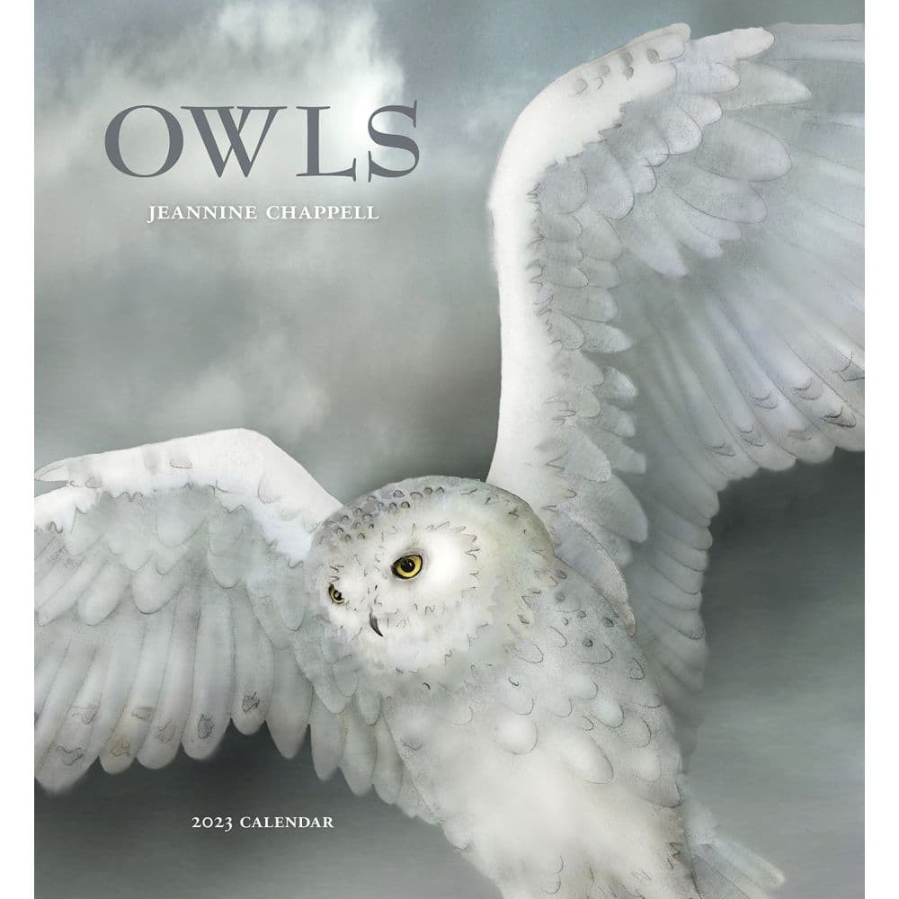 Owls Jeannine Chappell 2023 Wall Calendar