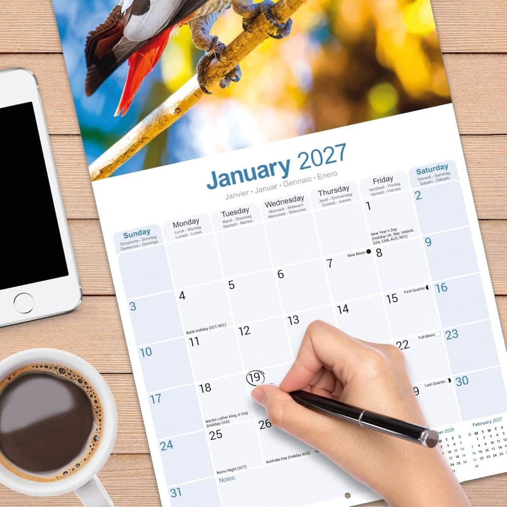 African Greys 2027 Wall Calendar Fourth Alternate Image
