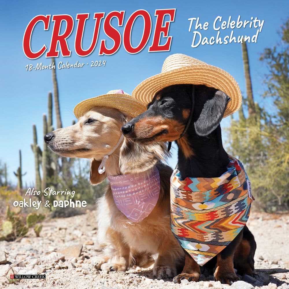 Crusoe the Celebrity Dachshund 2024 Mini Wall Calendar