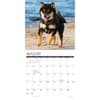 image Shiba Inus 2025 Wall Calendar