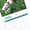 image English Springer Spaniels 2024 Wall Calendar Third Alternate Image width=&quot;1000&quot; height=&quot;1000&quot;