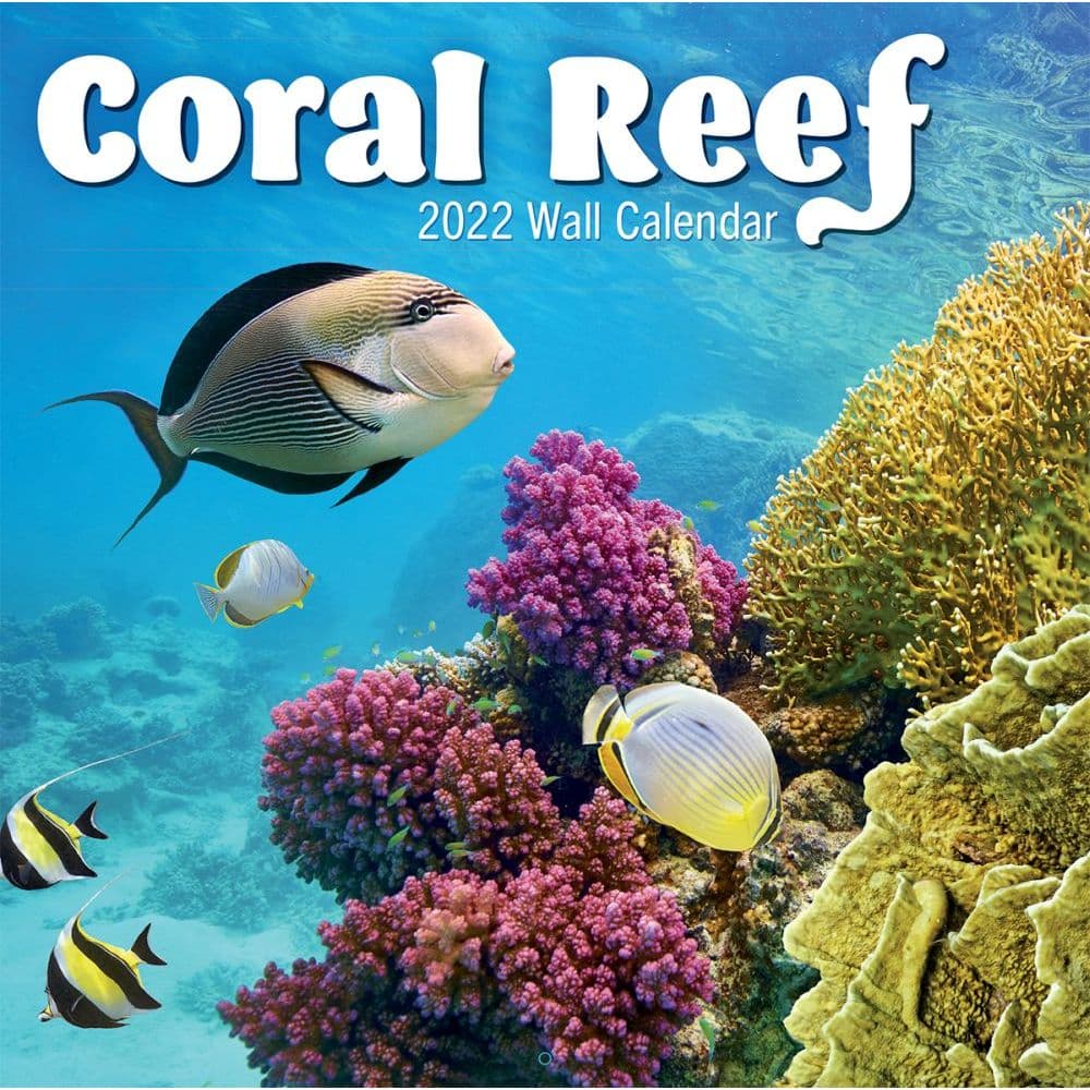 Coral Reef 2022 Wall Calendar