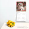 image Havanese 2025 Wall Calendar