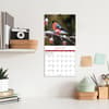 image Songbirds Photo 2025 Mini Wall Calendar