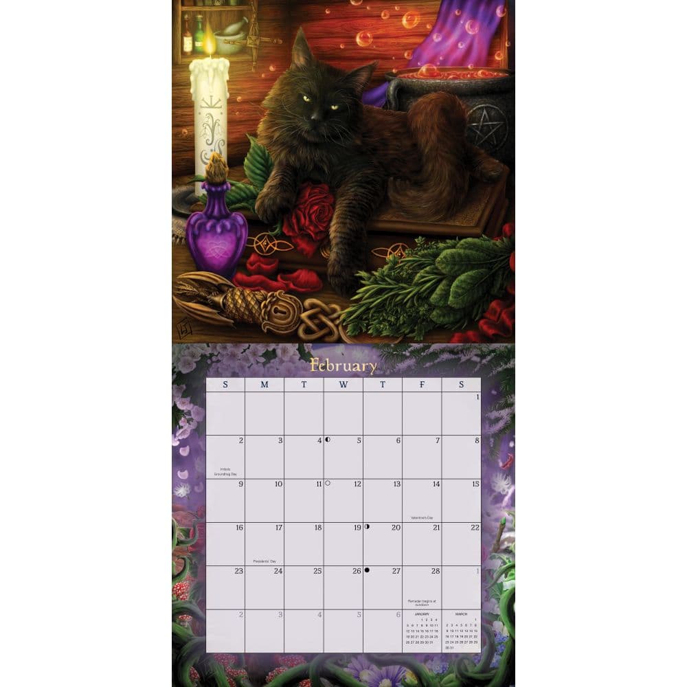 Magical Mystical Cats 2025 Wall Calendar First Alternate Image width="1000" height="1000"