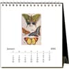 image Butterflies 2025 Easel Desk Calendar Second Alternate Image width="1000" height="1000"