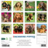image Just Dachshund Puppies 2025 Wall Calendar First Alternate Image width=&quot;1000&quot; height=&quot;1000&quot;