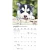 image Siberian Husky Puppies 2026 Mini Wall Calendar Second Alternate Image
