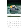 image Puffins 2024 Wall Calendar Second Alternate Image width=&quot;1000&quot; height=&quot;1000&quot;