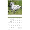 image Horses Special Value 2026 Mini Wall Calendar Second Alternate Image