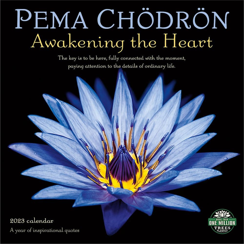 Amber Lotus Pema Chodron 2023 Wall Calendar